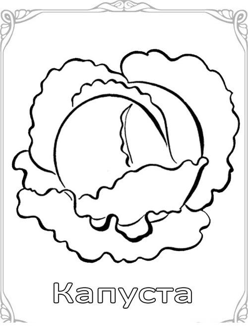 Контуры Овощей И Фруктов